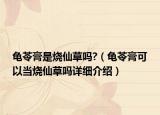 龜苓膏是燒仙草嗎?（龜苓膏可以當(dāng)燒仙草嗎詳細(xì)介紹）