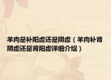 羊肉是補陽虛還是陰虛（羊肉補腎陰虛還是腎陽虛詳細介紹）