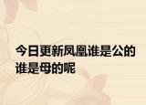 今日更新鳳凰誰是公的誰是母的呢