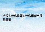 產(chǎn)權(quán)為什么重要為什么明晰產(chǎn)權(quán)很重要