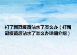 打了新冠疫苗沾水了怎么辦（打新冠疫苗后沾水了怎么辦詳細介紹）
