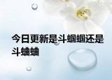 今日更新是斗蟈蟈還是斗蛐蛐
