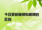 今日更新雄蟬和雌蟬的區(qū)別