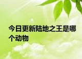 今日更新陸地之王是哪個動物