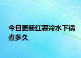 今日更新紅薯冷水下鍋煮多久
