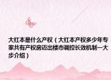 大紅本是什么產(chǎn)權(quán)（大紅本產(chǎn)權(quán)多少年專家共有產(chǎn)權(quán)房邁出樓市調(diào)控長效機制一大步介紹）