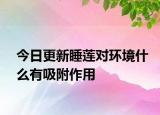 今日更新睡蓮對環(huán)境什么有吸附作用