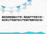 商業(yè)性質(zhì)的房和大產(chǎn)權(quán)（商業(yè)地產(chǎn)產(chǎn)權(quán)多少年一起分析小產(chǎn)權(quán)房子和大產(chǎn)權(quán)房子有啥不同介紹）