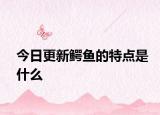 今日更新鱷魚的特點是什么