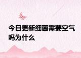 今日更新細菌需要空氣嗎為什么