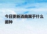 今日更新酒曲屬于什么菌種