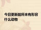 今日更新前所未有形容什么動物