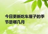 今日更新吃車?yán)遄拥募竟?jié)是哪幾月