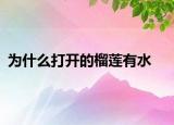 為什么打開的榴蓮有水