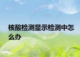 核酸檢測顯示檢測中怎么辦