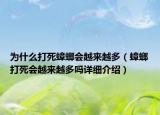 為什么打死蟑螂會(huì)越來越多（蟑螂打死會(huì)越來越多嗎詳細(xì)介紹）