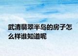 武清翡翠半島的房子怎么樣誰知道呢