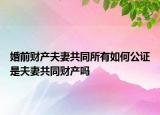 婚前財(cái)產(chǎn)夫妻共同所有如何公證是夫妻共同財(cái)產(chǎn)嗎