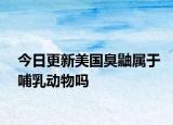 今日更新美國(guó)臭鼬屬于哺乳動(dòng)物嗎