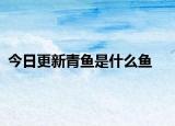 今日更新青魚是什么魚