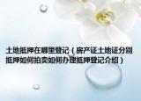 土地抵押在哪里登記（房產(chǎn)證土地證分別抵押如何拍賣如何辦理抵押登記介紹）