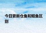 今日更新倉魚和鯧魚區(qū)別