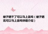 被子曬干了可以馬上蓋嗎（被子曬完可以馬上蓋嗎詳細(xì)介紹）