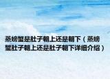 蒸螃蟹是肚子朝上還是朝下（蒸螃蟹肚子朝上還是肚子朝下詳細(xì)介紹）