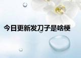 今日更新發(fā)刀子是啥梗