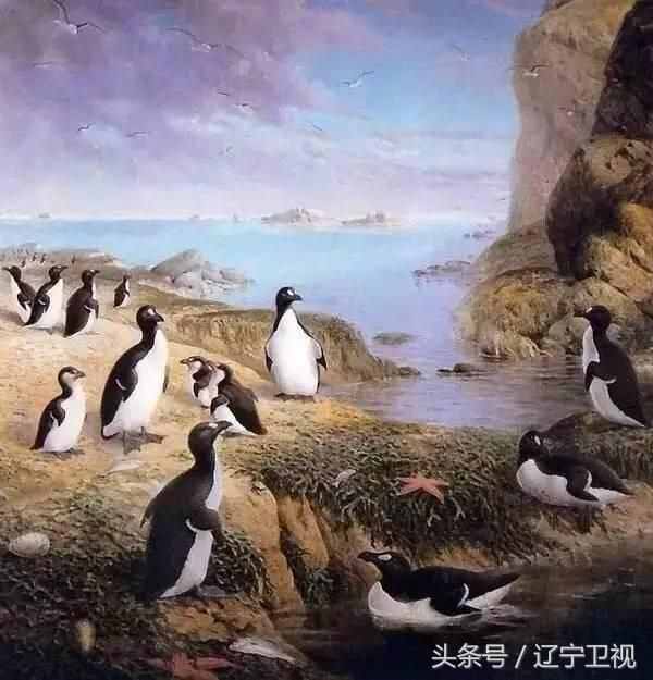 北極熊為什么不吃企鵝？因為北極的企鵝被人類吃光了