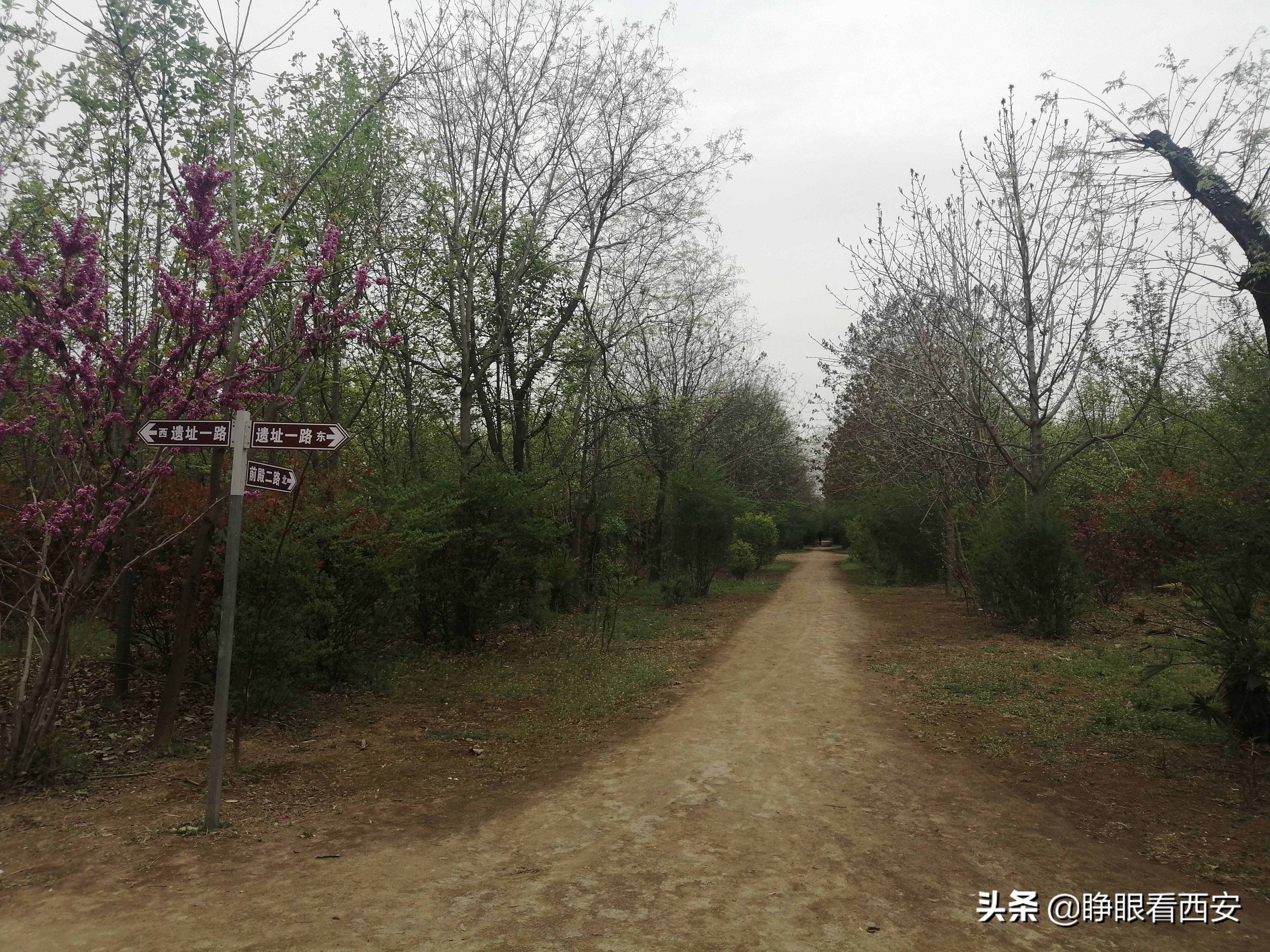秦·阿房宮遺址：世界最大的宮殿基址，一個(gè)前殿相當(dāng)于90個(gè)足球場(chǎng)