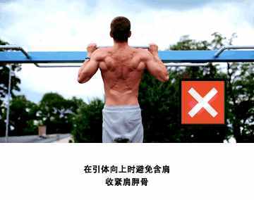 新手怎么進行力量訓練？一組健身訓練動圖，幫你提高肌肉線條