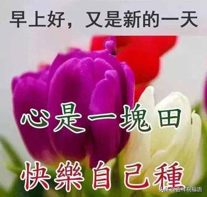 11月13日清晨早安問(wèn)候簡(jiǎn)短語(yǔ)句，發(fā)朋友圈最暖心的祝福句子