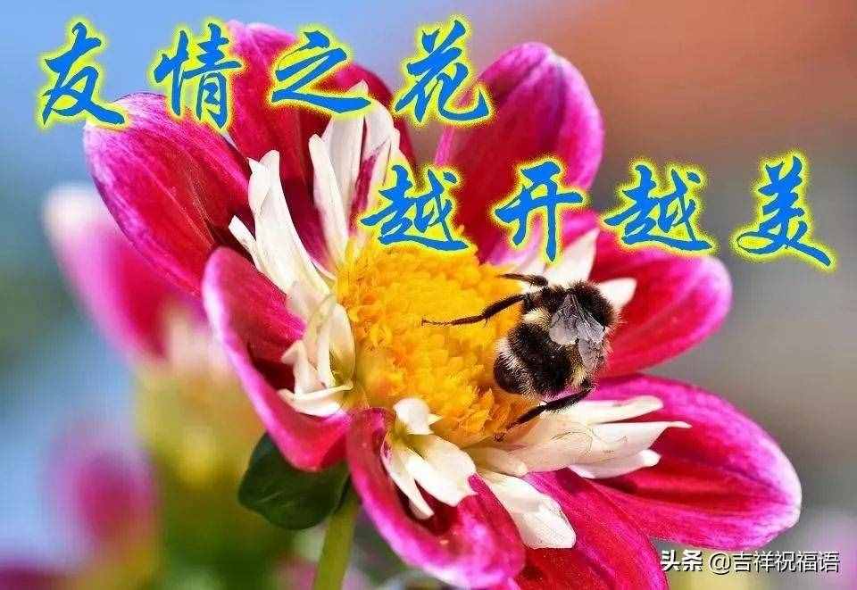 11月13日清晨早安問(wèn)候簡(jiǎn)短語(yǔ)句，發(fā)朋友圈最暖心的祝福句子