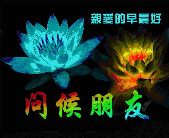 11月13日清晨早安問(wèn)候簡(jiǎn)短語(yǔ)句，發(fā)朋友圈最暖心的祝福句子