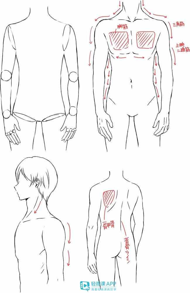 漫畫(huà)人物很難畫(huà)？手把手教你學(xué)會(huì)畫(huà)