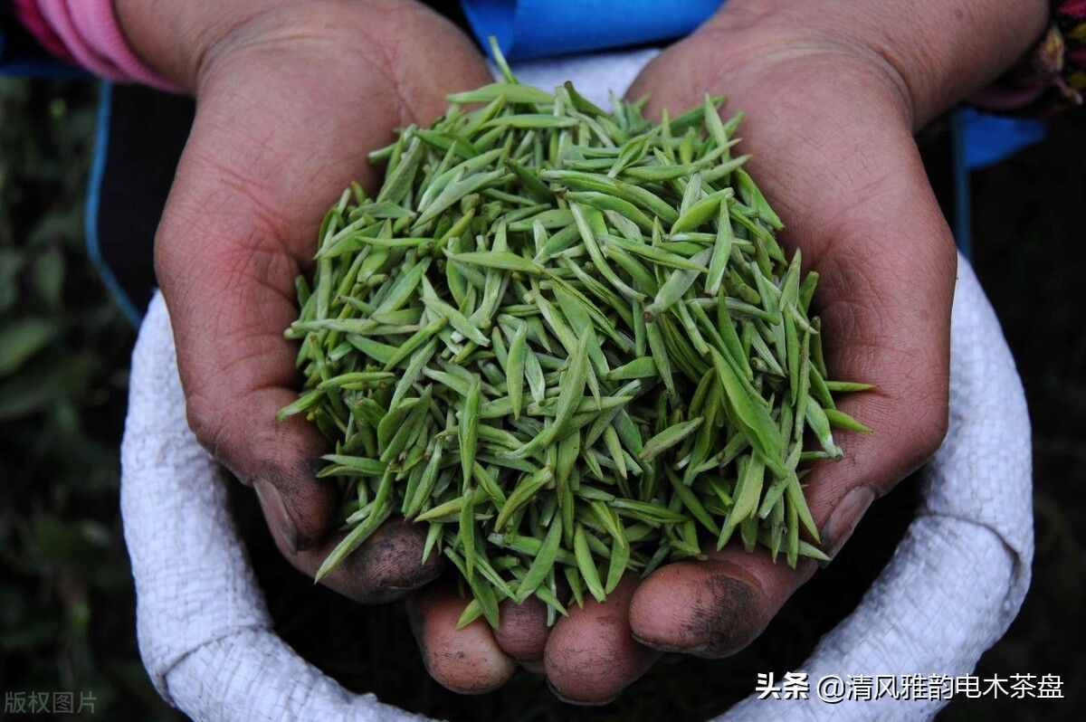 中國(guó)十大名茶，每天喝茶的你知道嗎？