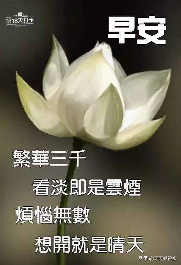 朋友圈日常祝福問(wèn)候語(yǔ)錄，溫馨的短信祝福語(yǔ)送給你
