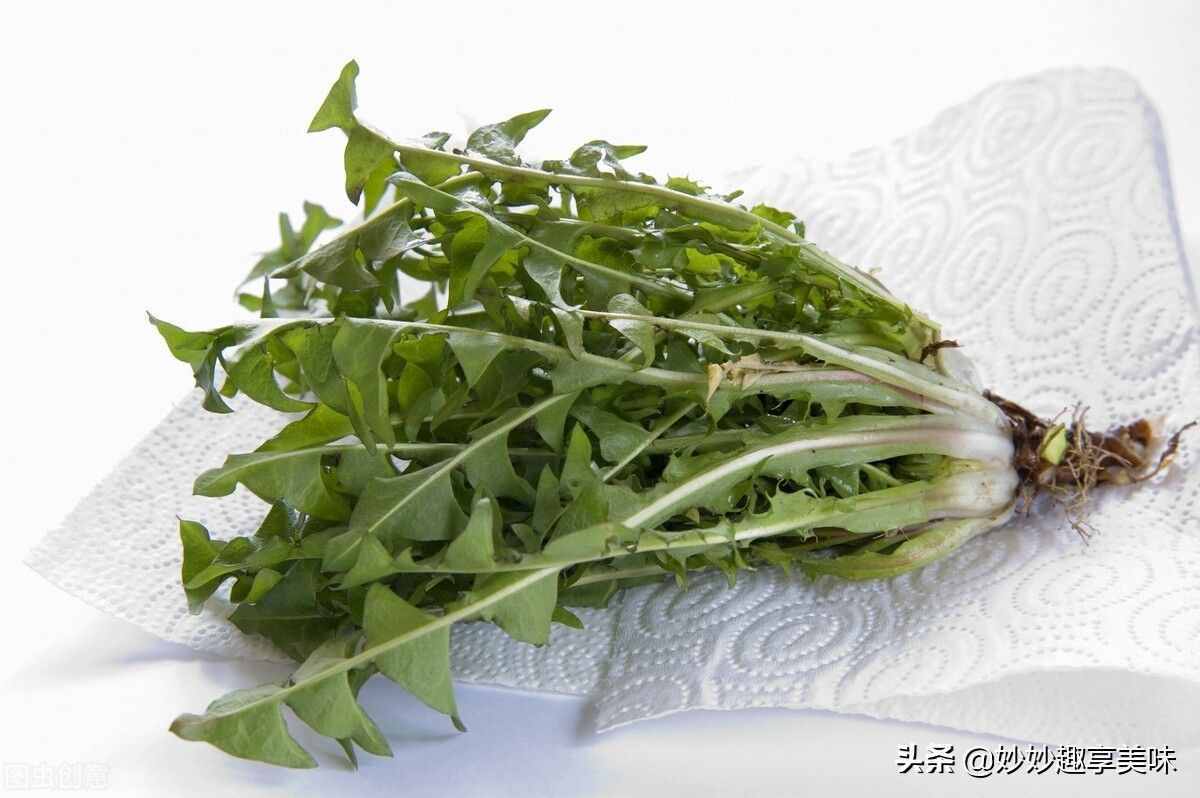 多喝蒲公英茶好處多，教你四步輕松自制，做一次喝一年，干凈衛(wèi)生