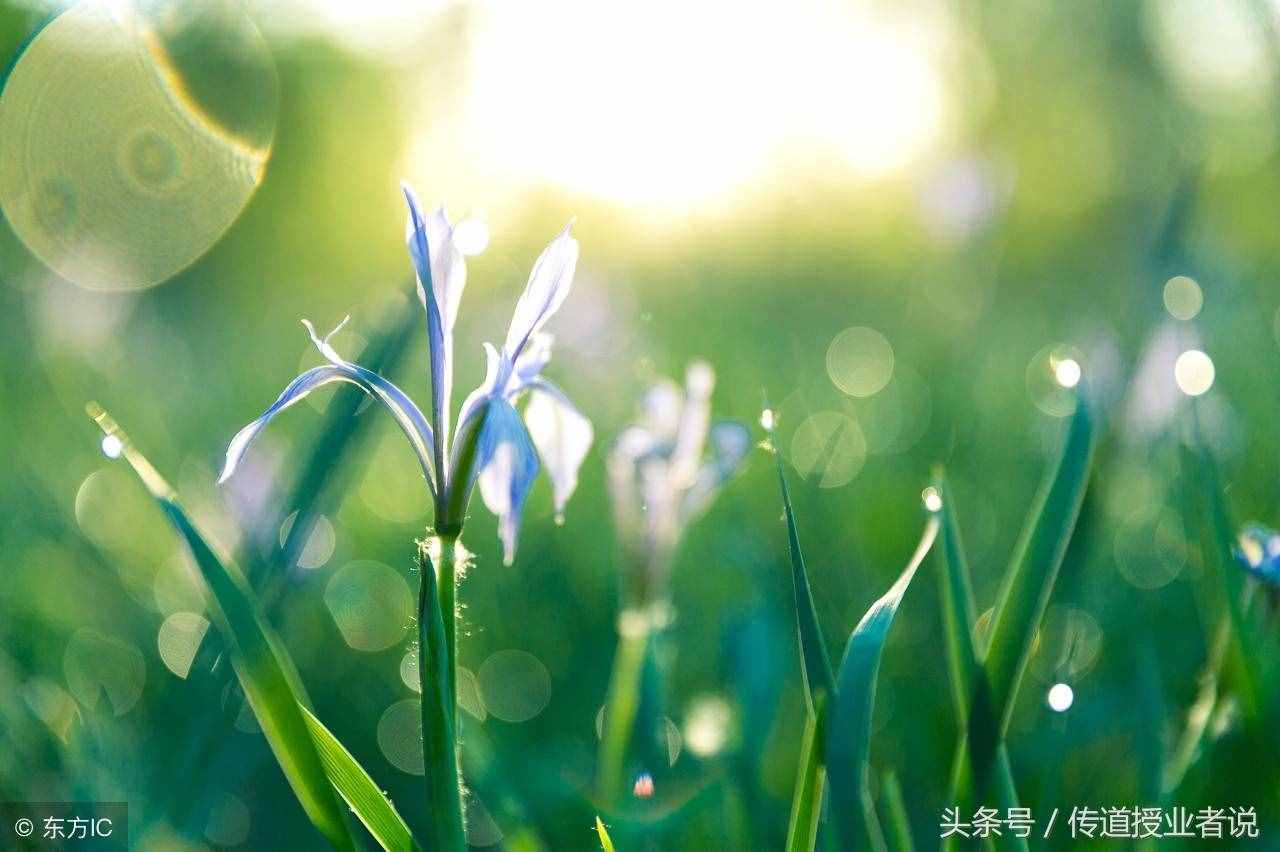國(guó)慶節(jié)手抄報(bào)文字內(nèi)容資料大全，國(guó)慶節(jié)作文、祝福短信、愛國(guó)詩(shī)歌