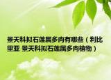 景天科擬石蓮屬多肉有哪些（利比里亞 景天科擬石蓮屬多肉植物）
