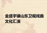 金盛宇鎮(zhèn)山東衛(wèi)視戲曲文化匯演