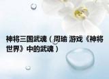 神將三國武魂（周瑜 游戲《神將世界》中的武魂）