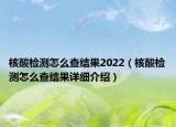 核酸檢測(cè)怎么查結(jié)果2022（核酸檢測(cè)怎么查結(jié)果詳細(xì)介紹）