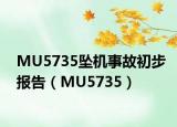 MU5735墜機事故初步報告（MU5735）