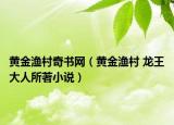 黃金漁村奇書網(wǎng)（黃金漁村 龍王大人所著小說）
