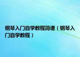 鋼琴入門自學(xué)教程簡(jiǎn)譜（鋼琴入門自學(xué)教程）