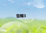 雪椰3