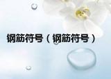 鋼筋符號（鋼筋符號）
