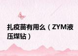 扎疫苗有用么（ZYM液壓煤鉆）
